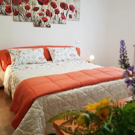 Mayflowers Zona Ospedale Cisanello 3* Pisa